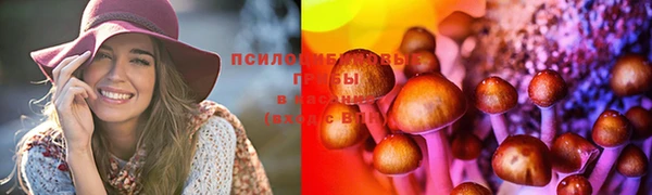 мдпв Пролетарск