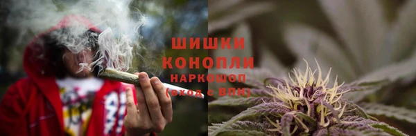 дживик Протвино